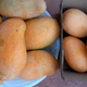 Mallikamangoes