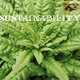 Newweb sustainability