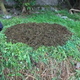 Half compost