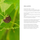 Heart plant tome september 2013 6web