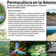 Permacultura en la amazonia4