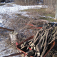 Tree stakes from pruning debris