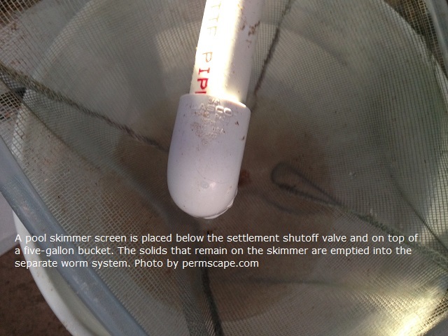 A pool skimmer screen is placed below the settlement shutoff valve and on top of a five-gallon bucket. The solids that remain on the skimmer are emptied into the separate worm system.