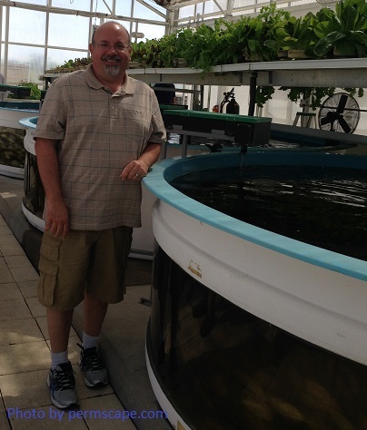 Photo of John Stevenson - Aquaponics greenhouse project - 2016 – High Density Tilapia Production Tank – Posted to Permaculture Global