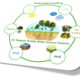 Permakultur farming cycle