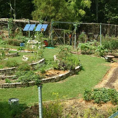 The Farm Ecovillage Training Center