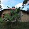 Yvy Porã - permaculture station