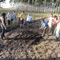 Áreas Agroecológicas da Fazenda Experimental da Ressacada - UFSC