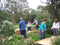 Permaculture at the Botanic Gardens