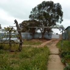 Transformation of quarter-acre block from depleted ornamental garden to abundant food forest in the semi-arid zone