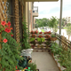 Zone 0. Balcony Permaculture 
