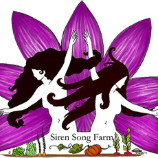 Siren Song Farm- Farm Scale Permaculture 