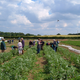 Norwich Farmshare Community Supported Agriculture