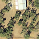 3/4 Acre Food Forest in North Texas