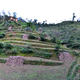 Ranikot Permaculture site (other name coming)