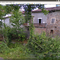 permaculture in Massimino