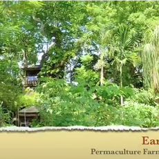 Earth-n-us Urban Permaculture design