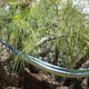 The Joshua Tree Homestead Permaculture Experiment