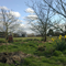 Breadlands Westbere Permaculture