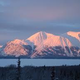 Atlin Community Greenhouse Project    (Grow Atlin)