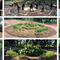 Mandala educational garden for therapeutic use (France)