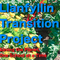 Llanfyllin Transition Project