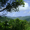 One Acre Tropical Homestead