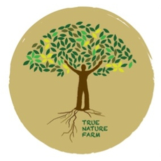 True Nature Farm - Sustainable Living & Wilderness School