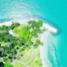 Conservation, Alternative Tourism, Sustainable Community @ Pulau Bidan an island in  Malaysia