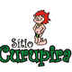 Sítio Curupira - estação de permacultura