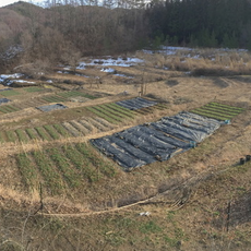 Permaculture Mochizuki Permaculture Research Farm & Demonstration Site