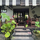 Villa Noor Permaculture Homestead