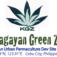 KGZ Kamagayan Green Zone