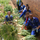 Sifiseshle Primary School Permaculture Project