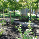 Student Permaculture Garden on PSU Campus