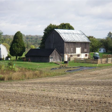 Old 99 Farm & Permaculture Site