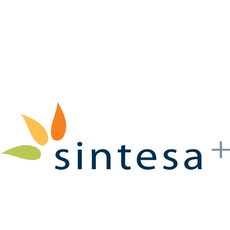 Sintesa+, company for Sustainable Development