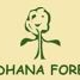 Sadhana Forest India