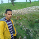 sayaf no'man
