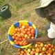 JOHNSON MATABULU
