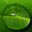 Square%20droplet%20green