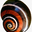 Kisspng snail gastropods invertebrate spiral slug snail 5acae8815aa9b7.1630642215232472333714