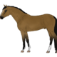 hapsudifyo hapsudifyo