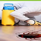 Cockroach Control Brisbane