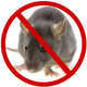 Rodent Control  Melbourne