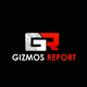 Gizmos report