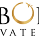 airborne privatejet