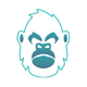 ellyse perry