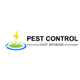 Pest Control  East Brisbane