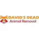 David's Dead Animal  Removal
